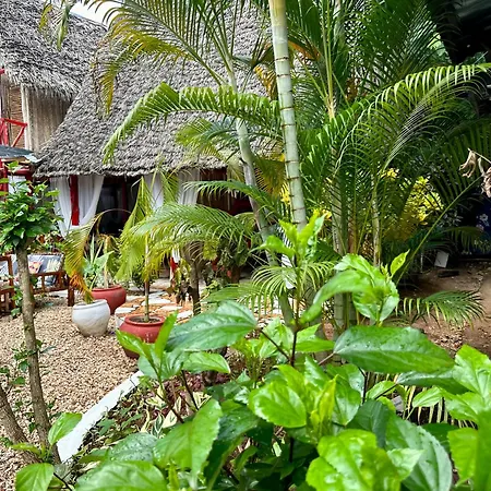 Pole Pole House Hotel Nungwi Exterior photo
